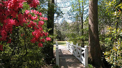 summerville south carolina