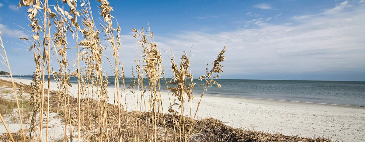 sand dunes and beach