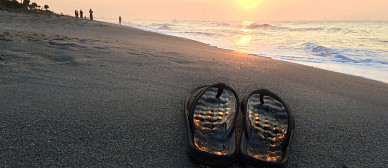 Plan a Relaxing Beach Getaway on Edisto Island