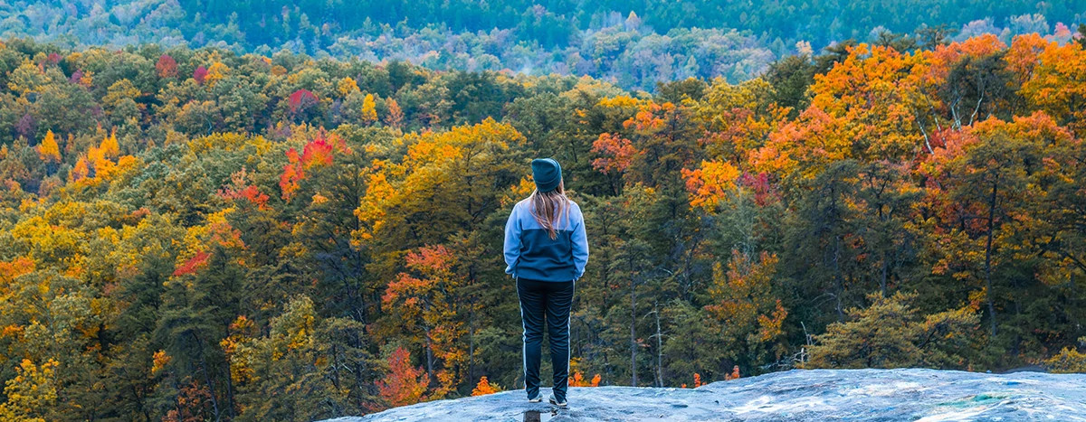 Woman looking at forest in fall colors
