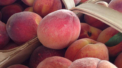 peaches in greer south carolina