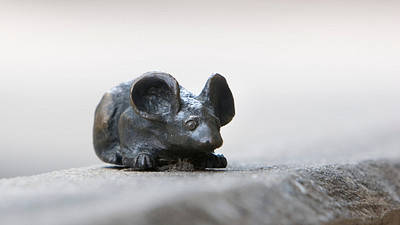 Great Hidden Gems Abound in and Around Greenville