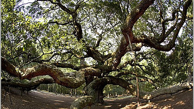 Even In Well-Documented Charleston There Are A Few Hidden Gems You Must See