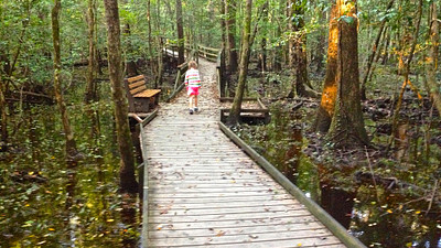 Don't Miss These Hidden Gems on a Visit to Columbia