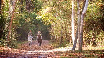 horses in aiken