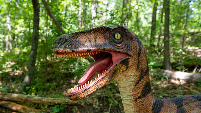 Help the Kids Find a Dinosaur in South Carolina