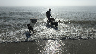 Beach-Loving Vacationers Come Back Year After Year to Play on Hilton Head Island's 12 Miles of Creamy White Shoreline