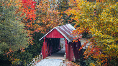 Campbell's Covered Bridge in the fall