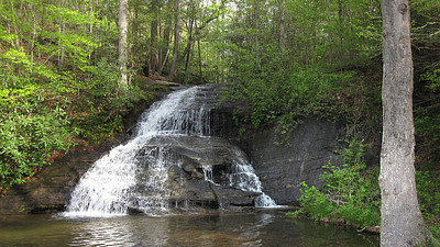 wildcat branch falls