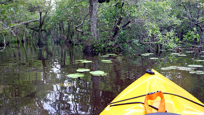 gibson park lexington