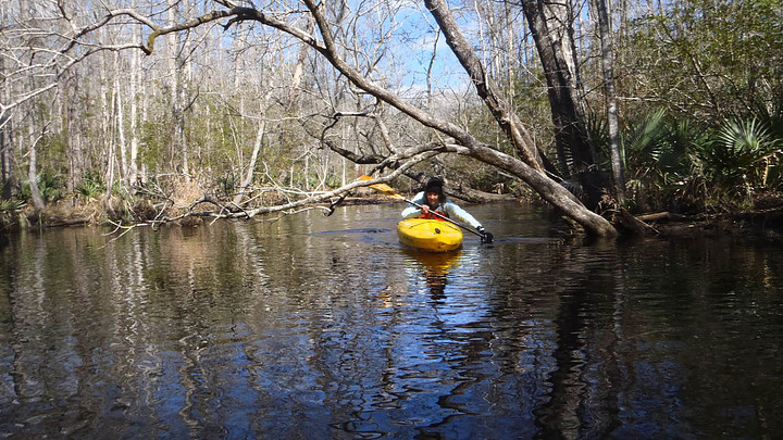 Kayaker navigating the New River in Bluffton, South Carolina
