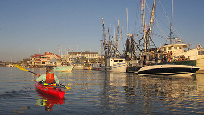 kayaking shem creek