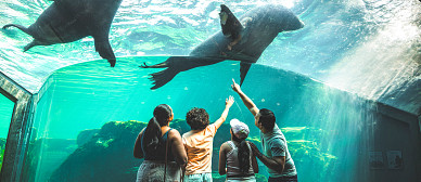 Columbia Cool: Family Fun in the Heart of South Carolina