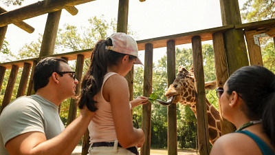 Where the Wild Things Are in South Carolina