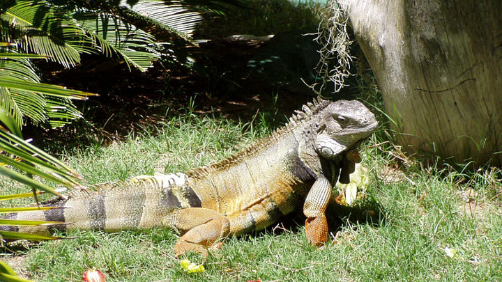 Edisto Island Serpentarium in South Carolina