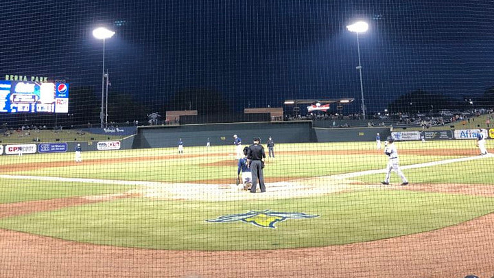 fireflies columbia sc